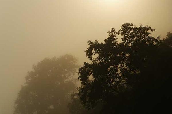 网站侧边栏添加随机小姐姐跳舞视频组件